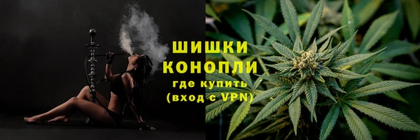 ешки Ладушкин