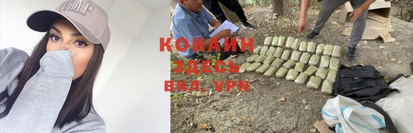 дживик Лабытнанги